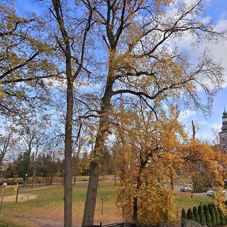 Wyjatkowy Apartament W Miliczu Buitenkant foto